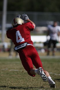 中超球队年度替补球员战术执行效率统计，中超替补年薪