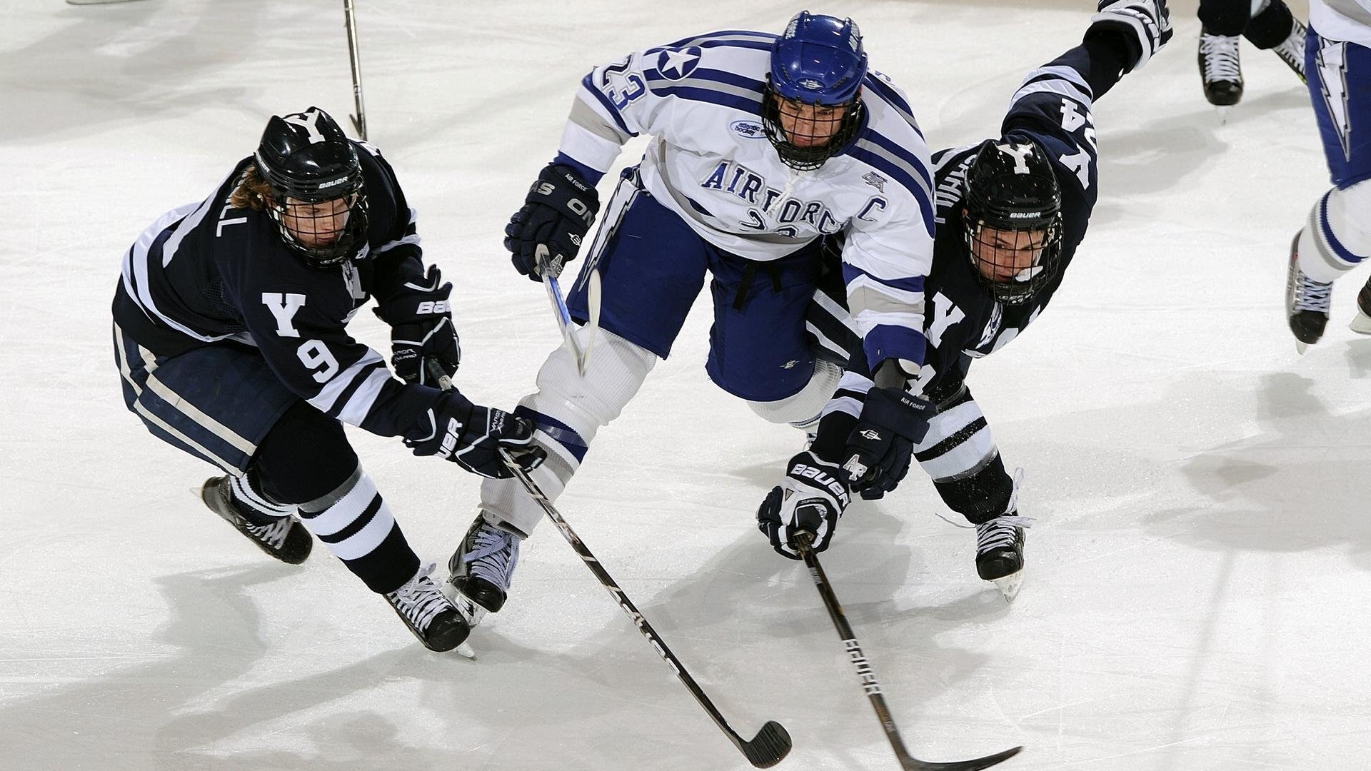 亚冠联赛焦点比赛吸引众多目光，亚冠集锦