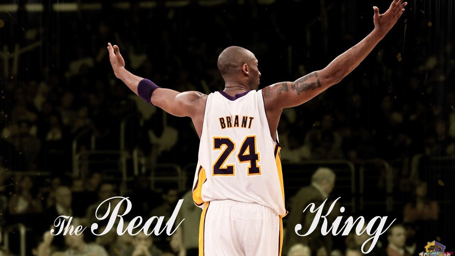 体育公益项目助力青少年成长，体育公益项目名称