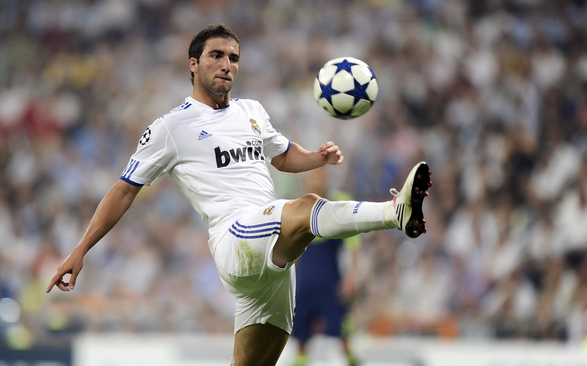 李恩：全黑队进攻的发起人，他的传球总能撕开对方防线，李恩实比赛视频